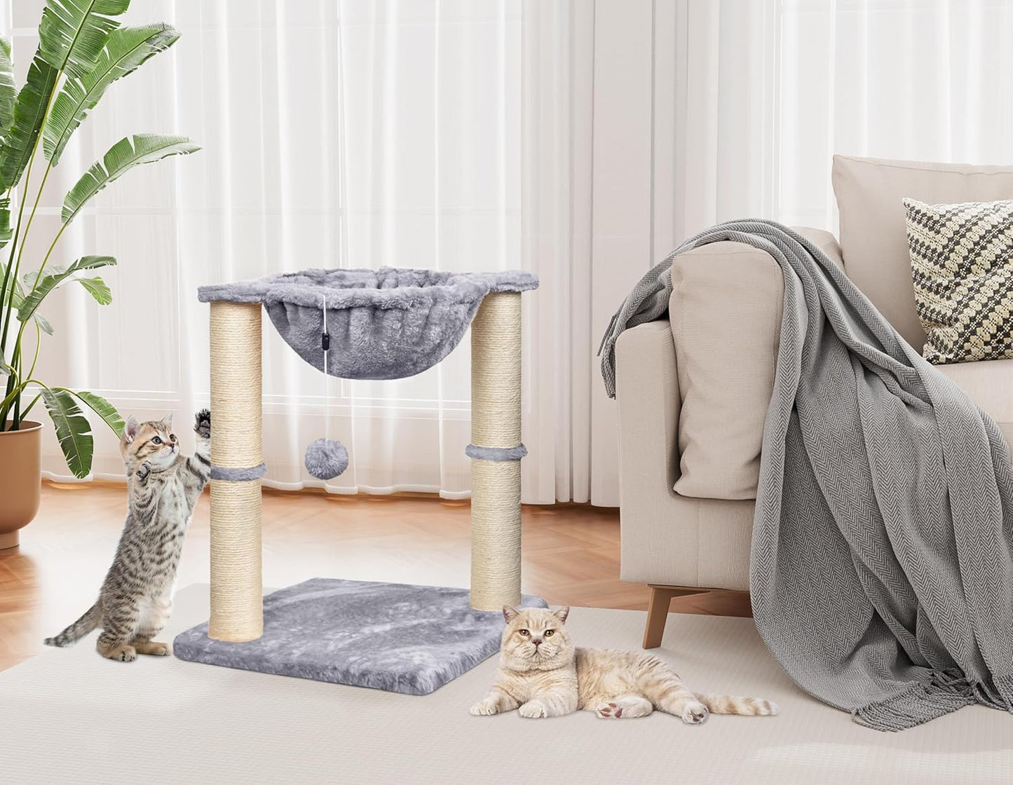 Cat Scratching Post, 50cm Cat Tree with Cat Hammock Bed, Scratching Posts for Indoor Cats with Hanging Ball Toy, Small Cat Tree for Kitten Pets Playing and Relaxing, Grey