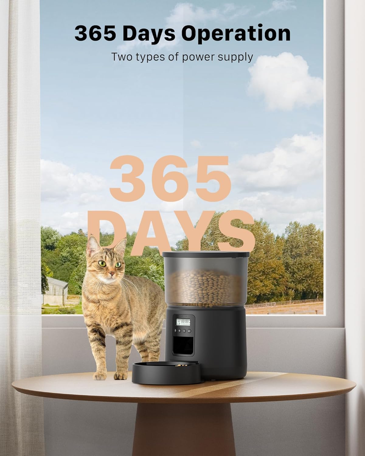 Automatic Cat Feeder Dry Food: Cat Feeder with Timer - Pet Food Dispenser Button Control 1-6 Meals - 3L Auto Dog Bowl with Customize Feeding Schedule - 10s Voice Recorder - Contains Desiccant
