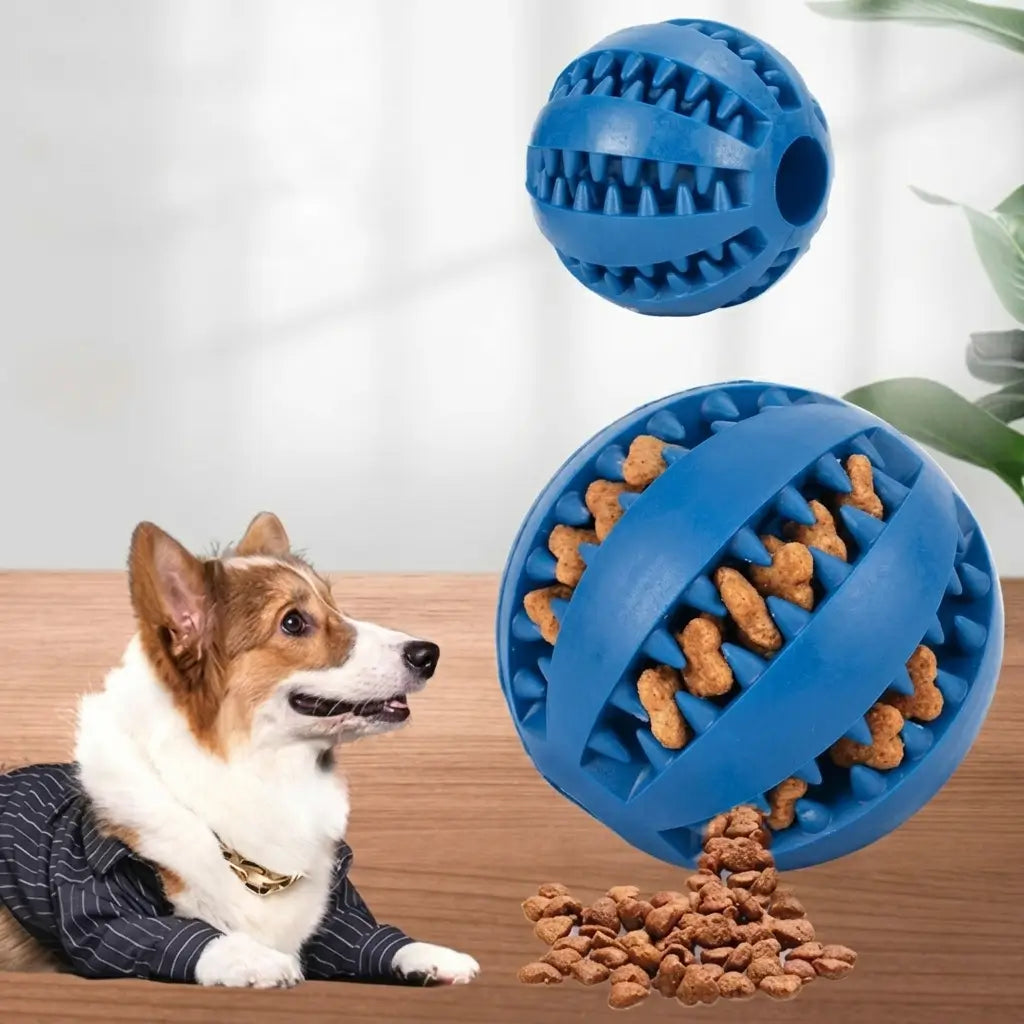 Dog Treat Ball