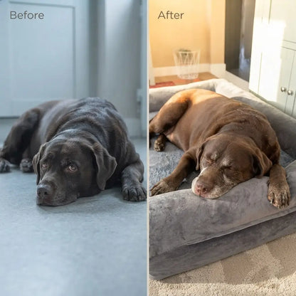 Large Comfort Dog Bed | Waterproof, Plush Sofa Pet Mattress