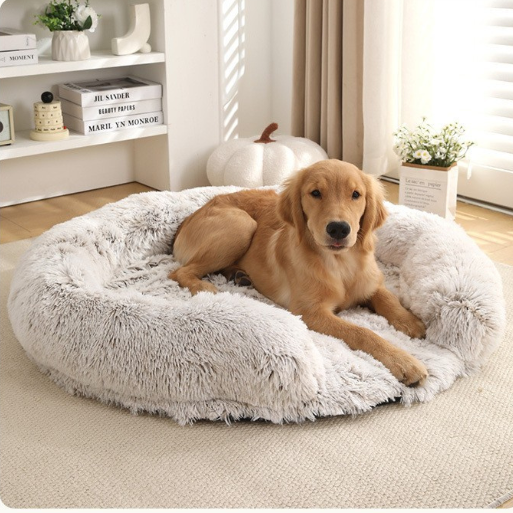 Comfy Orthopedic Dog Bed with Pillow for Calming Support