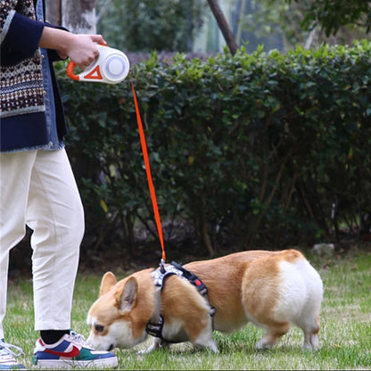 Long Adjustable Pet Leash with Torch & Comfort Grip