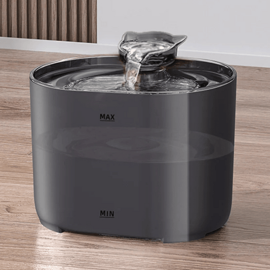 Clean Pet Water Dispenser for Cats - LifyPet