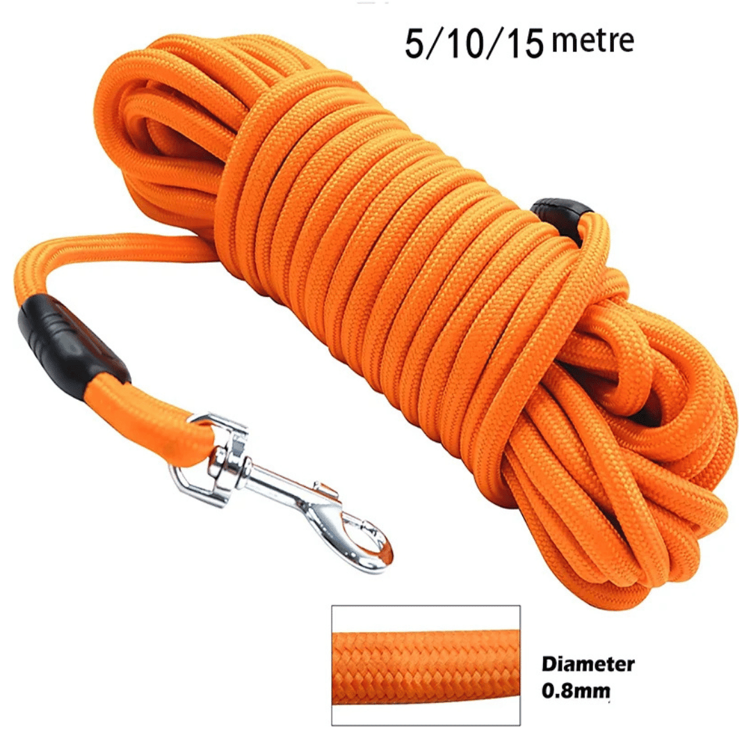 Heavy Duty Extended Dog Leash with Thick Rope