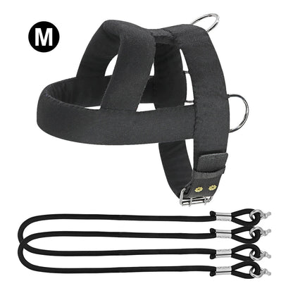Tough Dog Pulling Harness with Padded Support