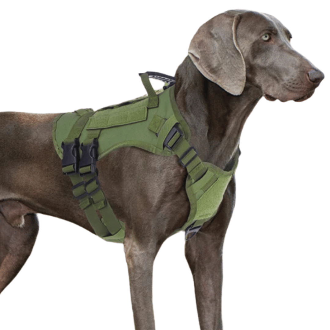 Durable Heavy-Duty Dog Vest with Handle for Large Breeds