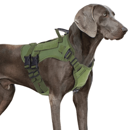 Durable Heavy-Duty Dog Vest with Handle for Large Breeds