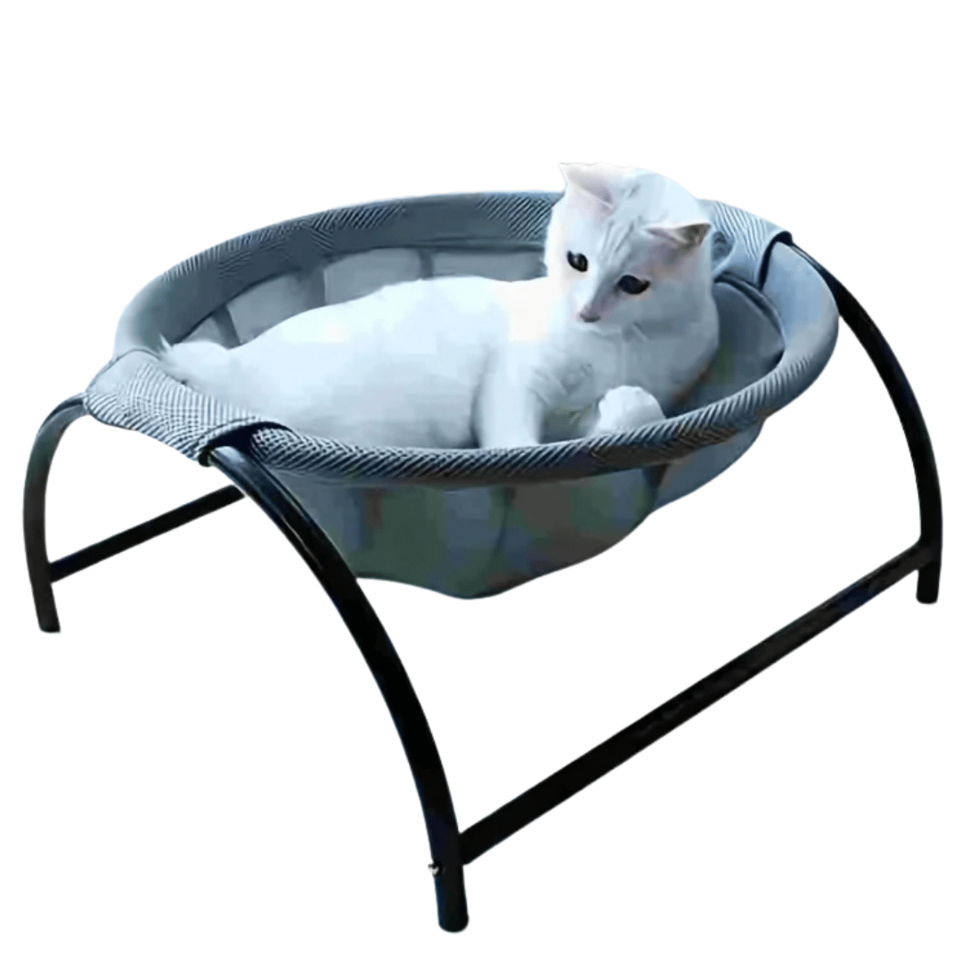 Sturdy Wooden Cat Hammock Bed with Solid Frame