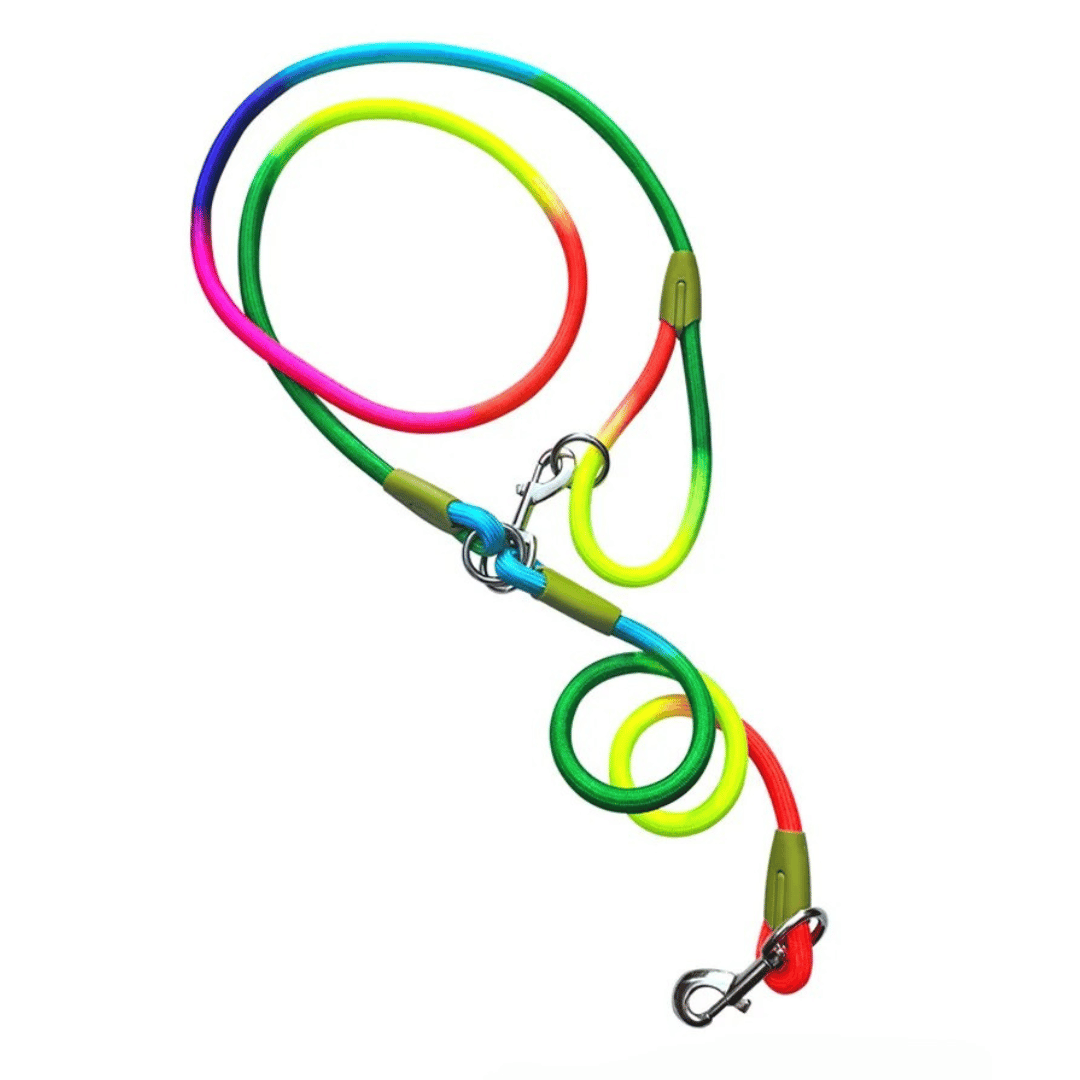 Durable Padded Leash for Running and Big Dogs