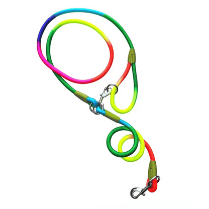 Durable Padded Leash for Running and Big Dogs