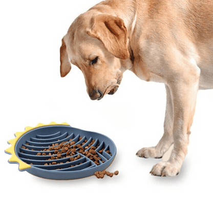 Spill Proof Pet Feeding Mat for Dogs and Cats - LifyPet