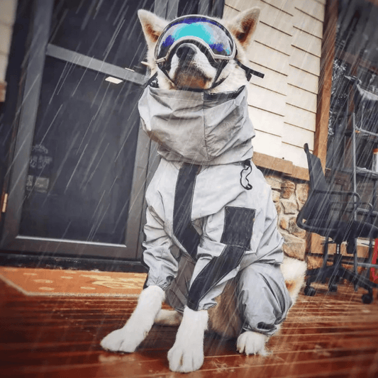 Waterproof Dog Rain Jacket with Adjustable Hood - LifyPet