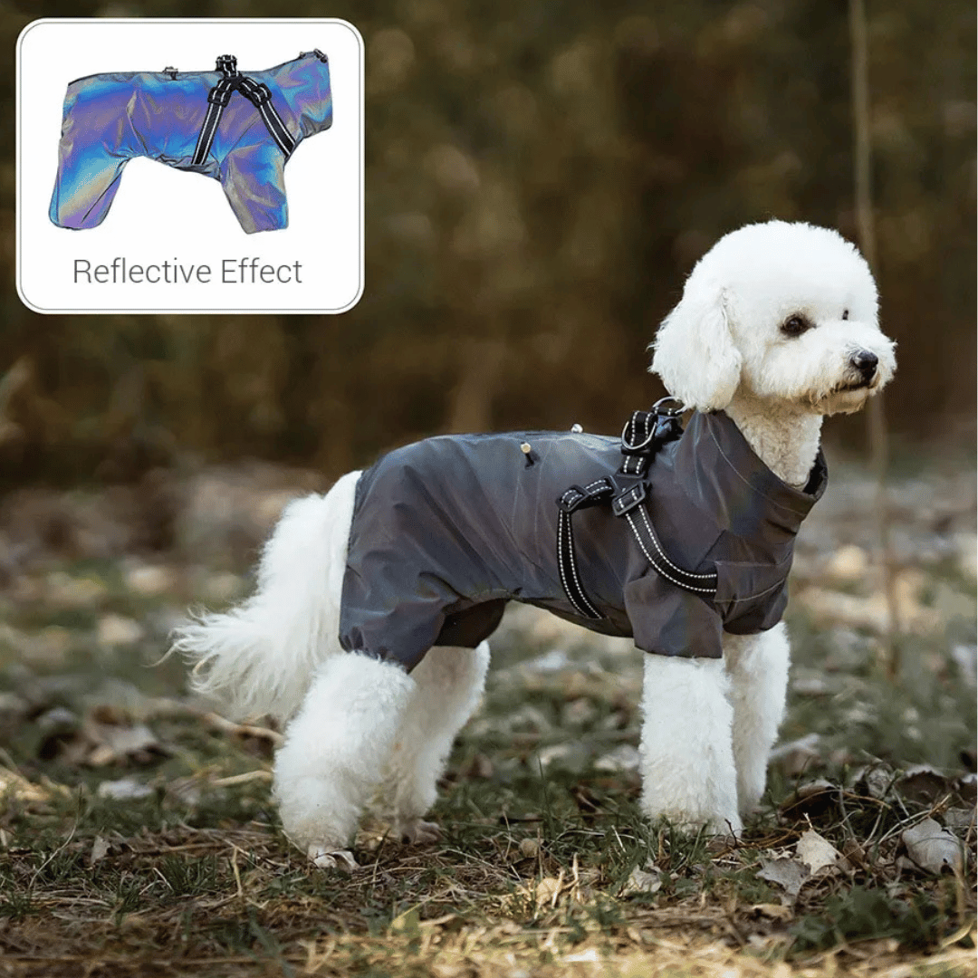 Waterproof Pet Coat with Built-In Dog Harness