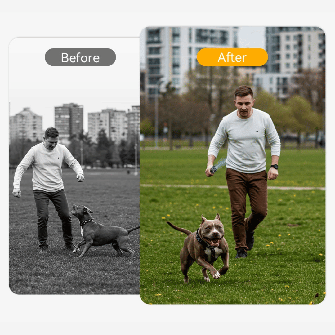 Portable Dog Trainer with Ultrasonic Bark Control and Flashlight