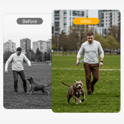 Portable Dog Trainer with Ultrasonic Bark Control and Flashlight