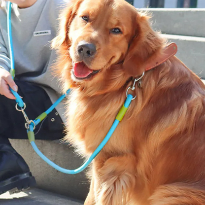 Durable Reflective Dog Leash for Big Dogs Running Walking