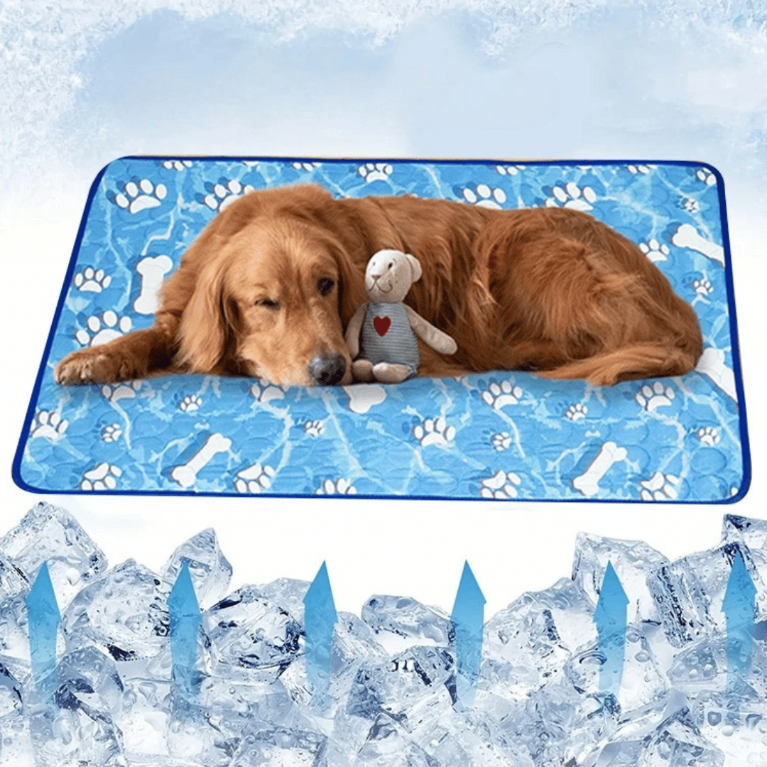 Cool Pet Mat for Dogs and Cats | Chill Comfort Pad