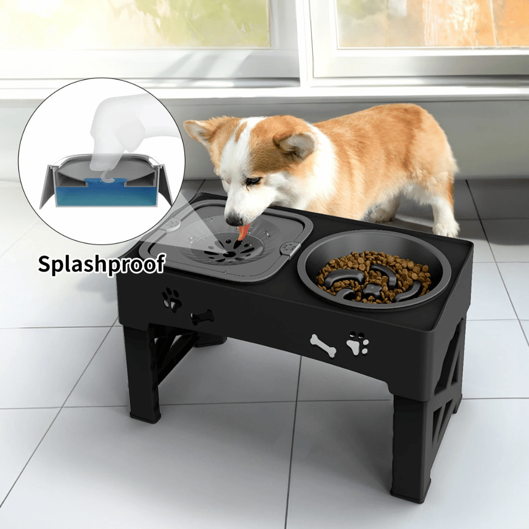 Easy Feed Elevated Dog Bowl Stand | Adjustable Pet Feeder