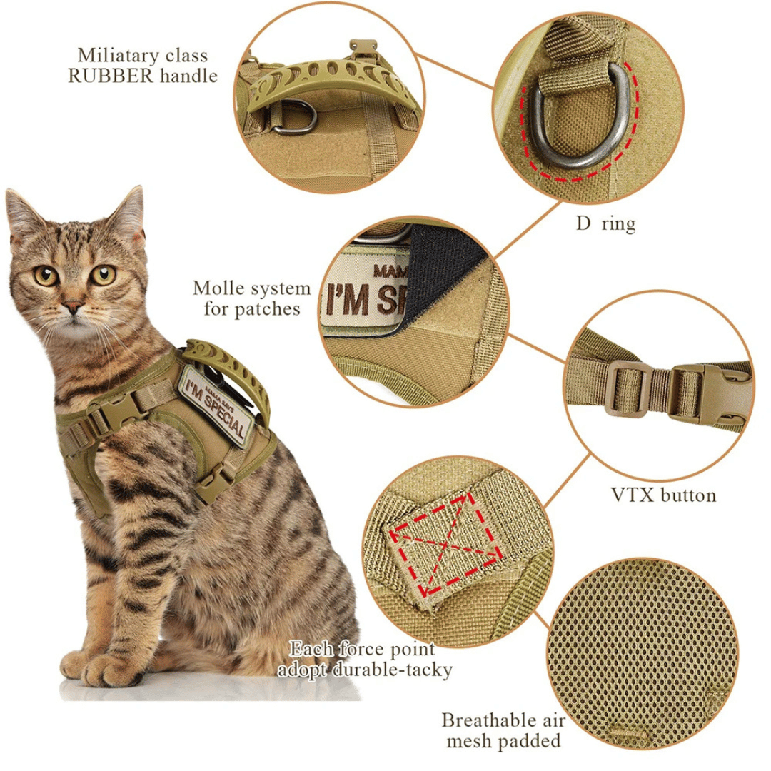 Durable Outdoor Cat Vest & Leash