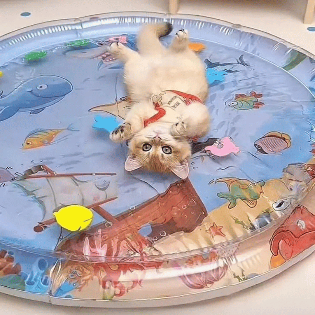 Soft Inflatable Pet Water Bed Mat