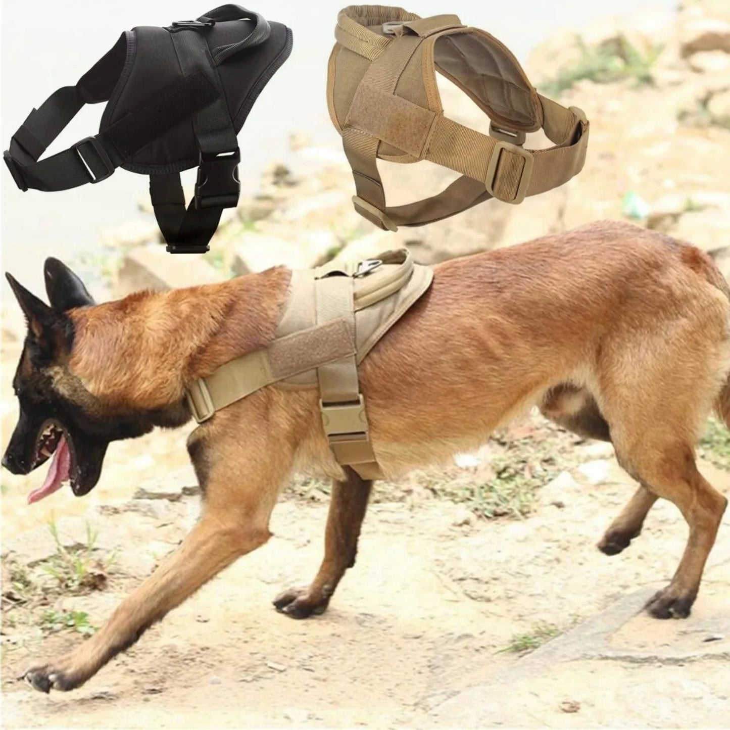 Comfortable Large Dog Harness with Padded Vest
