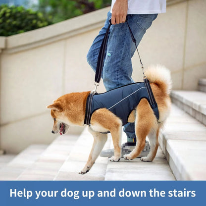 Comfortable Support Harness for Senior Dogs