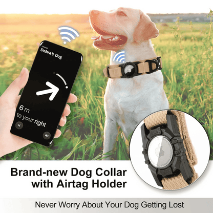 Durable Outdoor Pet AirTag Collar & Leash Set