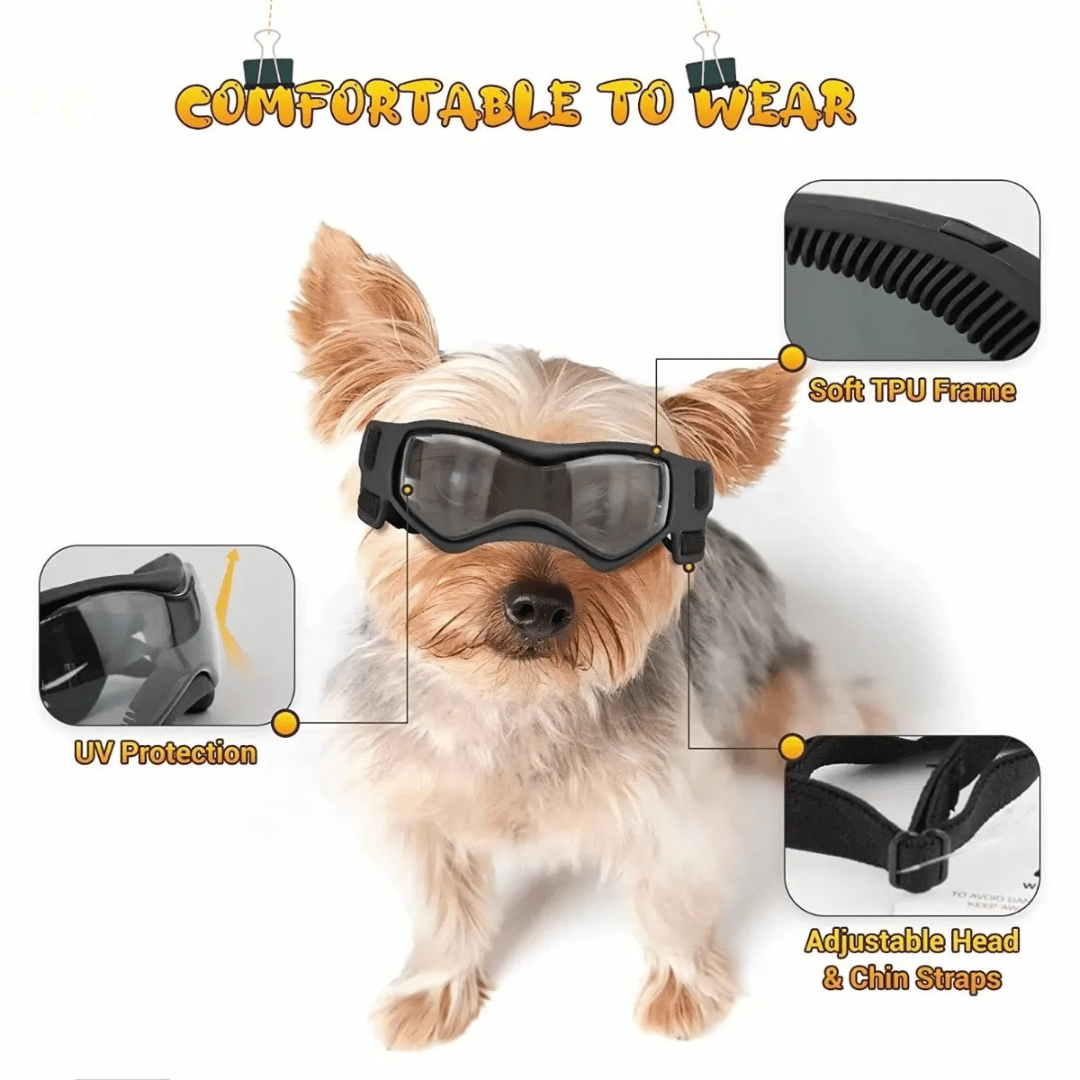 Pet Dog Shades for Small Breeds Protection