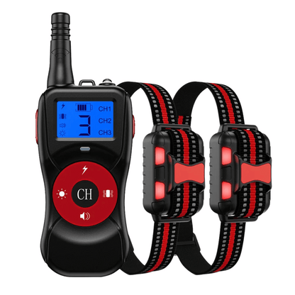 Durable Nylon Pet Training Collar & Remote