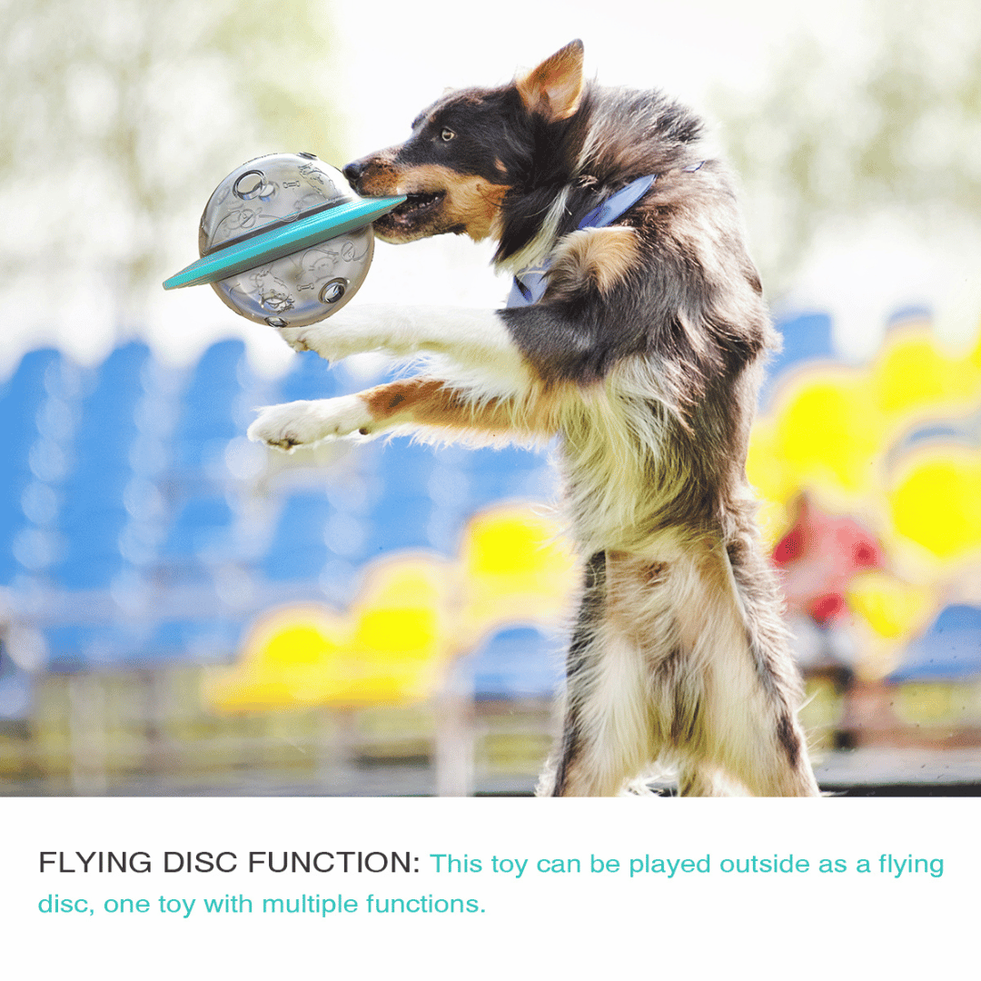 Fun Puzzle Dog Toy for Healthy Slow Eating