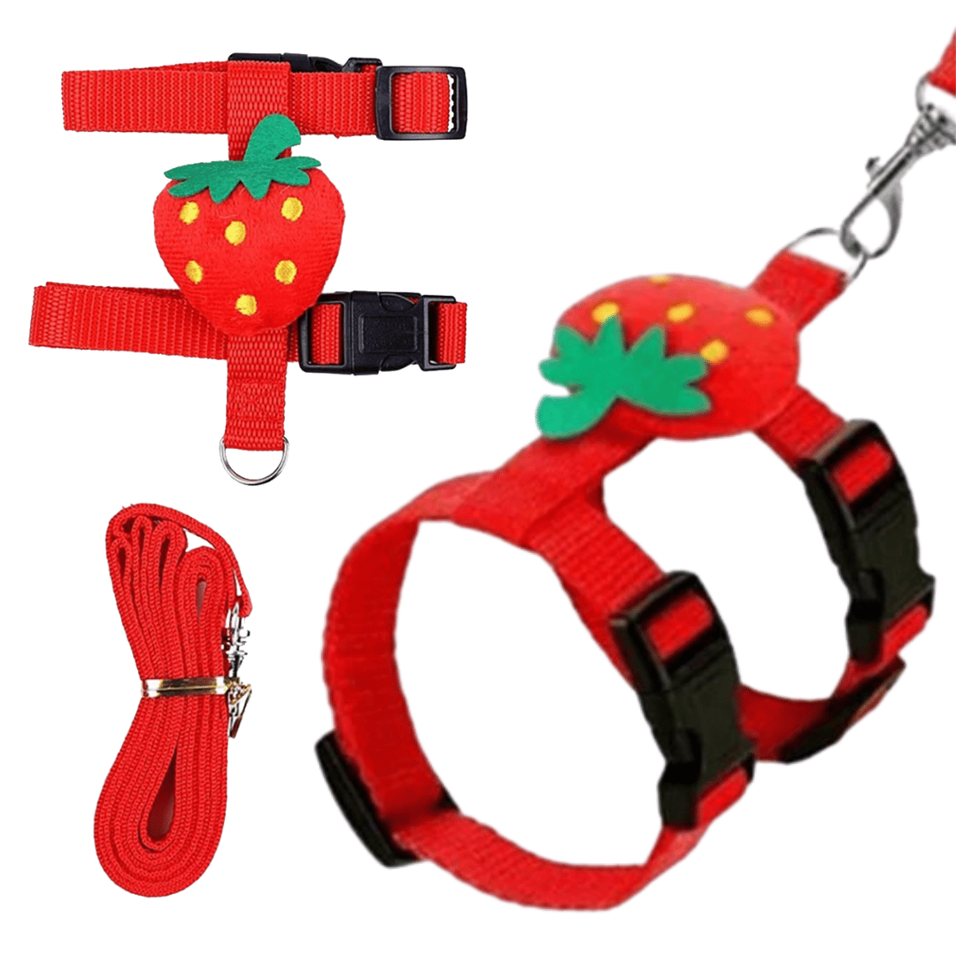 Comfortable Bunny Harness and Leash Set