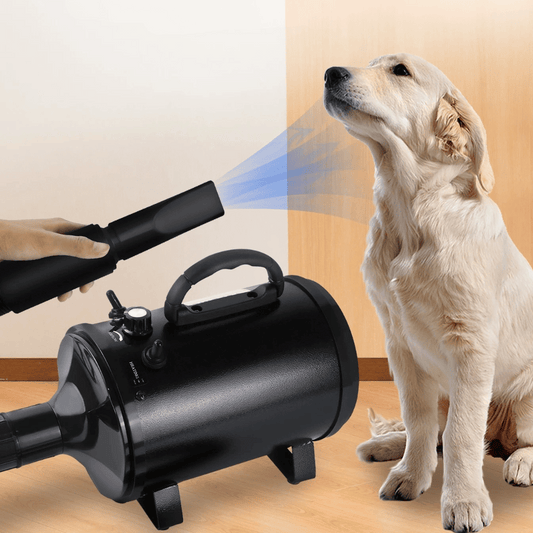 Quiet Pet Dryer with Adjustable Heat & Interchangeable Tips - LifyPet