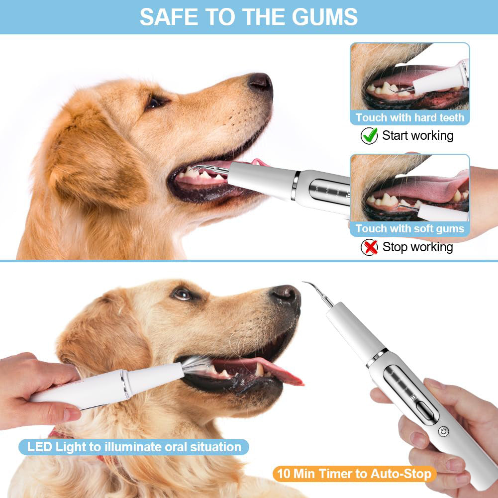 Pet Dental Care Kit for Dogs Teeth Cleaning