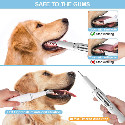 Pet Dental Care Kit for Dogs Teeth Cleaning