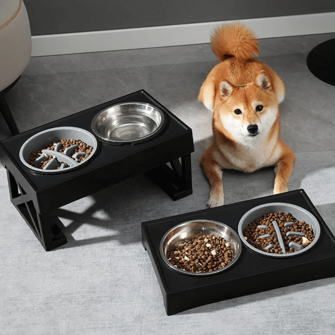 Elevated Dog Feeder with Adjustable Stand and Stainless Bowls