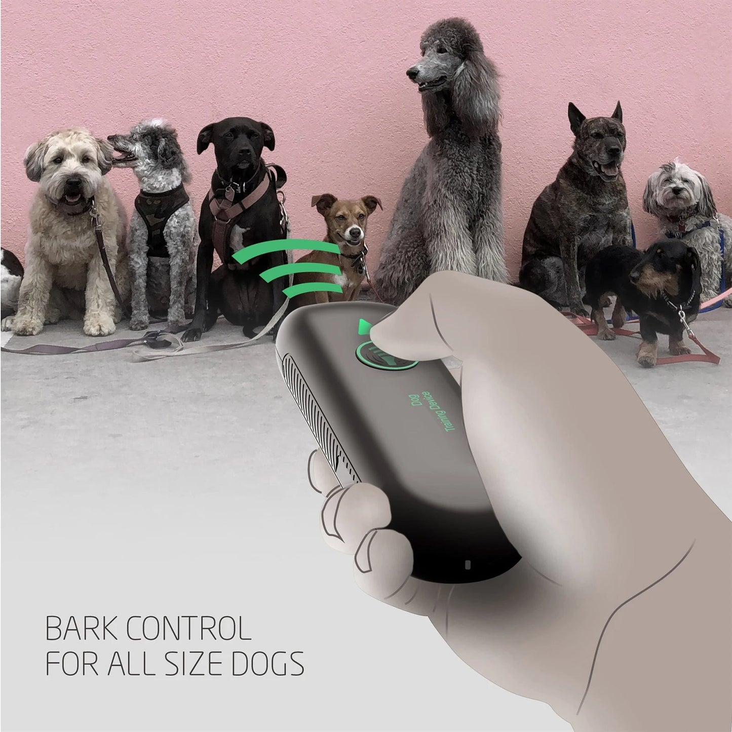 Portable Anti Bark Dog Trainer with 10m Range