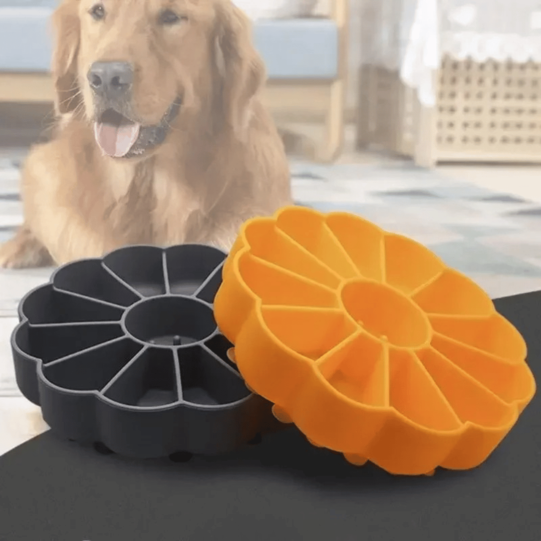 Interactive Dog Food Bowl with Non Slip Base