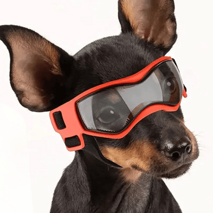 Pet Dog Shades for Small Breeds Protection