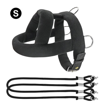 Tough Dog Pulling Harness with Padded Support