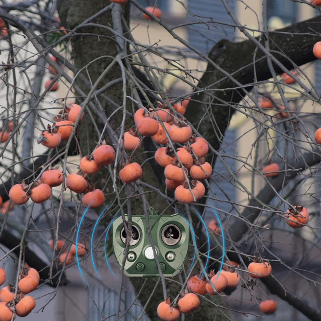 Outdoor Motion Activated Pest Repellent for Gardens