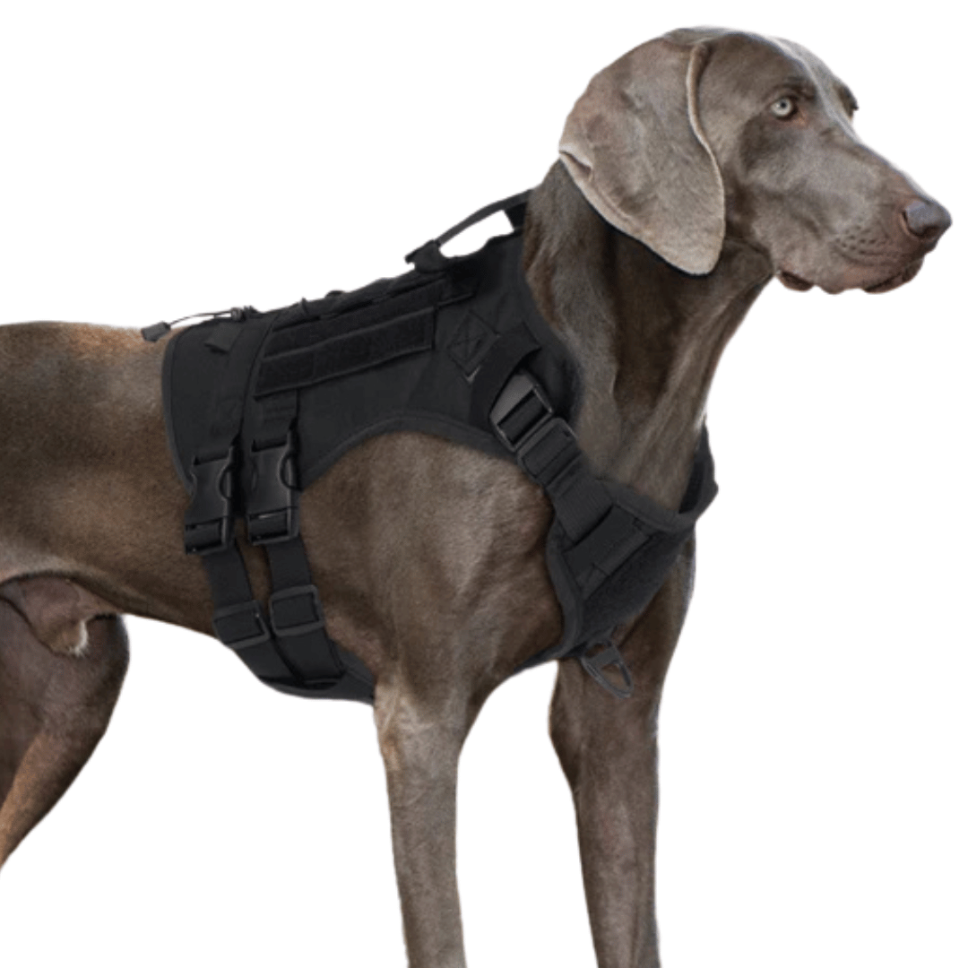 Durable Heavy-Duty Dog Vest with Handle for Large Breeds