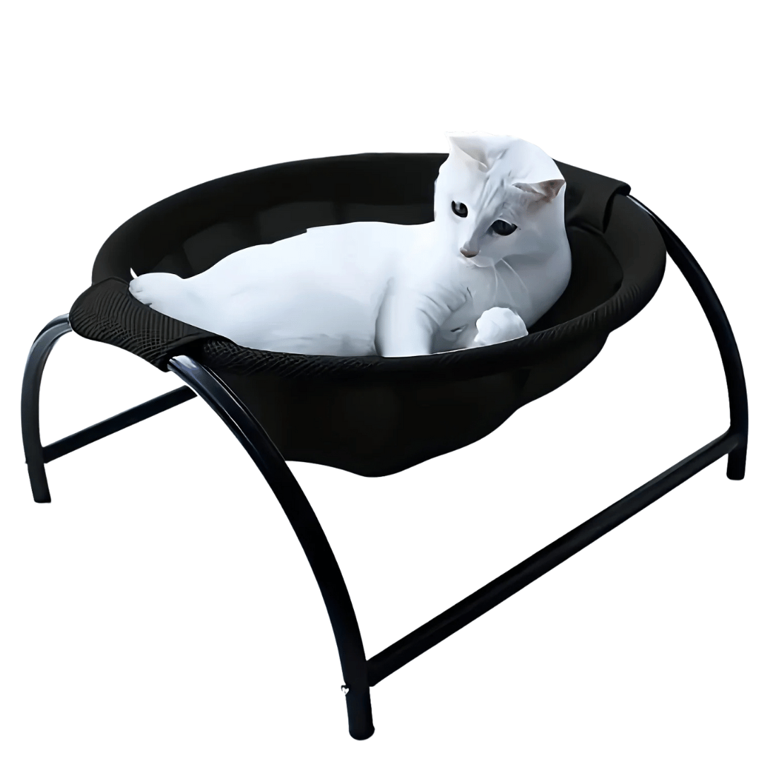 Sturdy Wooden Cat Hammock Bed with Solid Frame