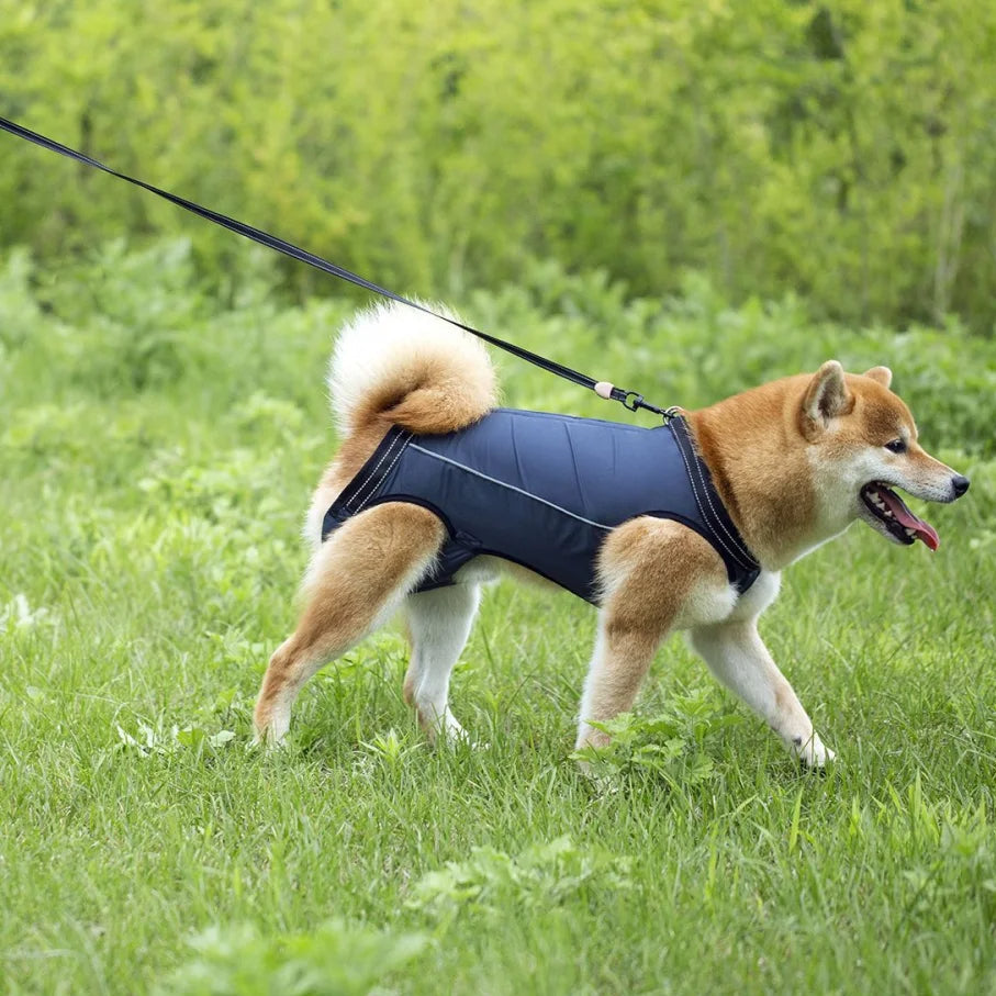 Comfortable Support Harness for Senior Dogs