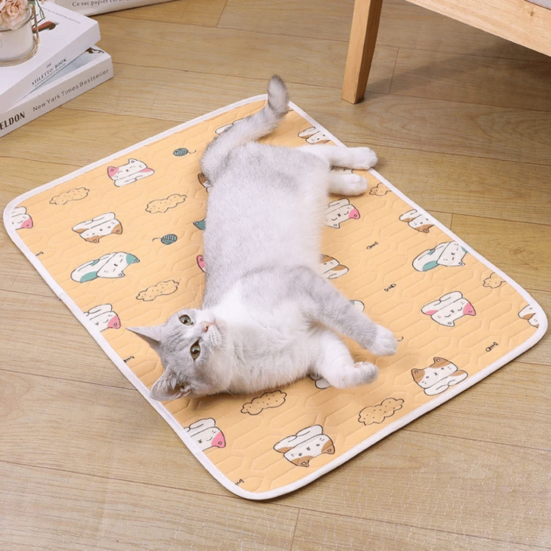 Cooling Gel Pet Bed Mat for Dogs and Cats