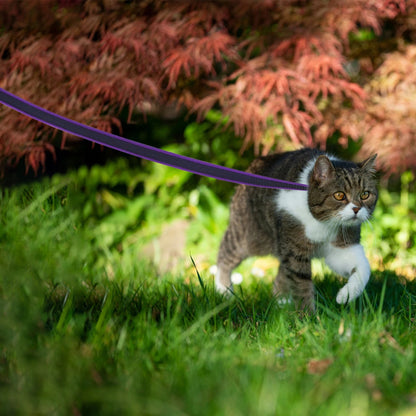 Strong Heavy Duty Dog Leash with Padded Handle