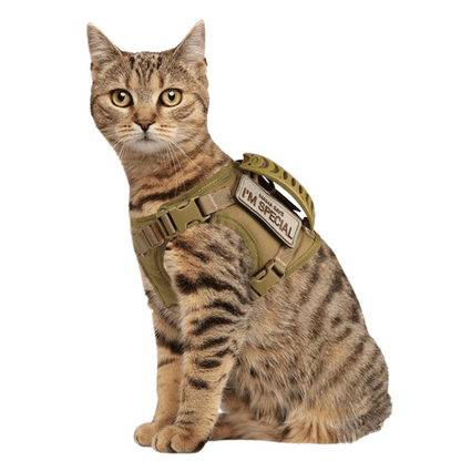Durable Outdoor Cat Vest & Leash