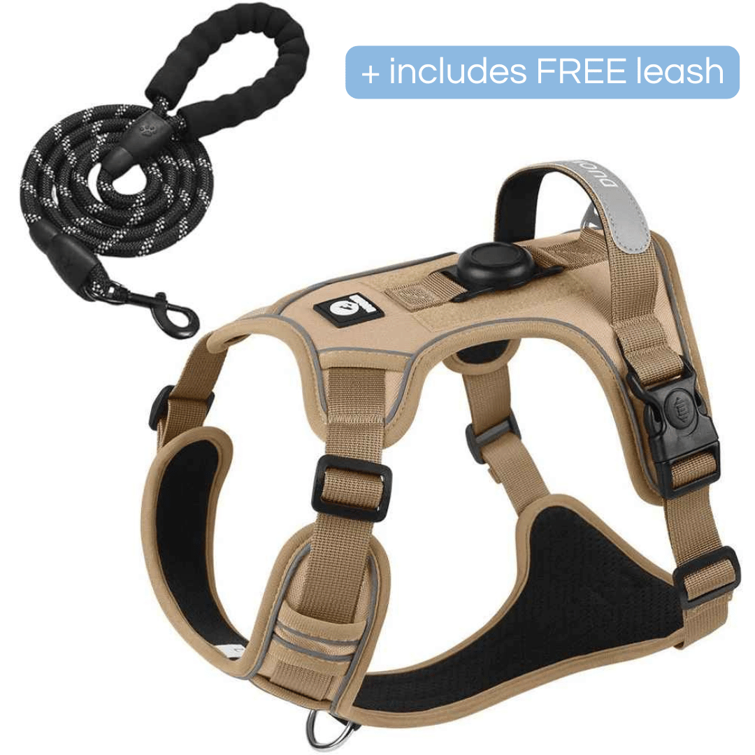 Durable Padded Dog Harness with Leash Clip and ID Holder - LifyPet