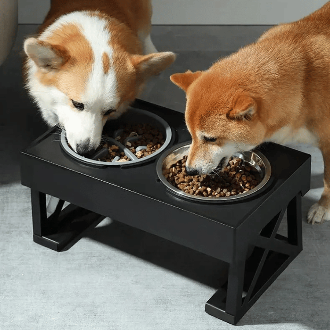 Elevated Dog Feeder with Adjustable Stand and Stainless Bowls
