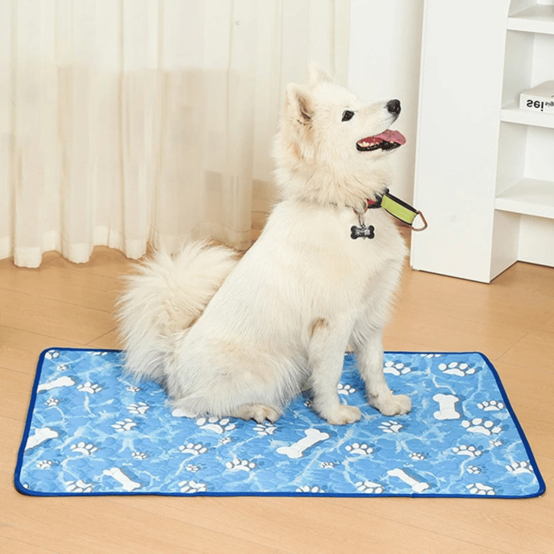 Cool Pet Mat for Dogs and Cats | Chill Comfort Pad