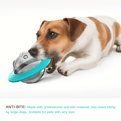Fun Puzzle Dog Toy for Healthy Slow Eating